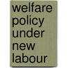 Welfare Policy Under New Labour door Andrew Connell