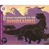 What Happened to the Dinosaurs?