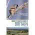 Where To Watch Birds In Britain