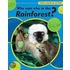 Who Eats Who In The Rainforest?