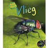 Vlieg