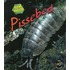 Pissebed