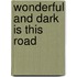 Wonderful And Dark Is This Road