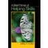 A Brief Primer of Helping Skills