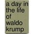 A Day In The Life Of Waldo Krump