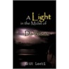 A Light in the Midst of Darkness by Erik Loebl