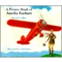 A Picture Book of Amelia Earhart