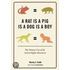A Rat Is A Pig Is A Dog Is A Boy
