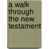 A Walk Through The New Testament