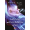 Addressing Methamphetamine Abuse door Nathan B. Talcote