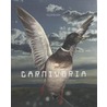 Carnivoria