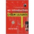 An Introduction to Cybercultures