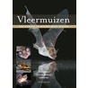 Vleermuizen