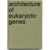 Architecture of Eukaryotic Genes door Rudolf Kahl