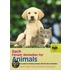 Bach Flower Remedies For Animals