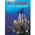 Caribe, El - Guia de Inmersiones