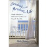 Cleaning and the Meaning of Life by Paula Jhung