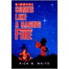 Comes Like A Raging Fire:A Novel door Rick W. White