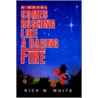 Comes Rushing Like A Raging Fire door Rick W. White