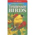 Compact Guide to Tennessee Birds