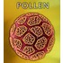 Pollen