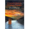Crucial Choices, Crucial Changes door Stefan De Schill