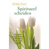 Spiritueel scheiden door Debbie Ford