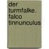 Der Turmfalke. Falco tinnunculus