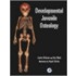 Developmental Juvenile Osteology