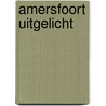 Amersfoort uitgelicht