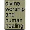 Divine Worship and Human Healing door Bruce T. Morrill