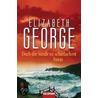 Doch die Sünde ist scharlachrot door Susan Elizabeth George