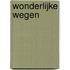 Wonderlijke wegen