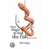 Don't Forget To Feed The Fish...