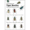 Field Gui Tiger Beetles Us Can P door Charles J. Kazilek