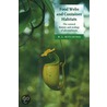 Food Webs And Container Habitats by R.L. Kitching