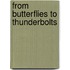 From Butterflies to Thunderbolts