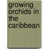 Growing Orchids In The Caribbean