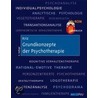 Grundkonzepte der Psychotherapie by Jurgen Kriz