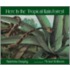 Here Is the Tropical Rain Forest