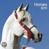 Horses 2011. Broschürenkalender door Onbekend