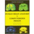 Human Brain Anat Compu Ima 2/e C