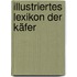 Illustriertes Lexikon der Käfer