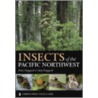 Insects of the Pacific Northwest door Peter Haggard