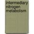 Intermediary Nitrogen Metabolism