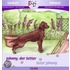 Johnny, der Setter /Seter Johnny