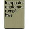 Lernposter Anatomie. Rumpf - Hws by Unknown