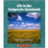 Life In The Temperate Grasslands