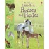 Little Book Of Horses And Ponies