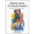 Making Sense Of Cultural Studies